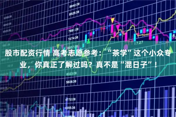 股市配资行情 高考志愿参考：“茶学”这个小众专业，你真正了解过吗？真不是“混日子”！