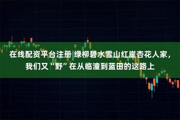 在线配资平台注册 绿柳碧水雪山红崖杏花人家，我们又“野”在从临潼到蓝田的这路上